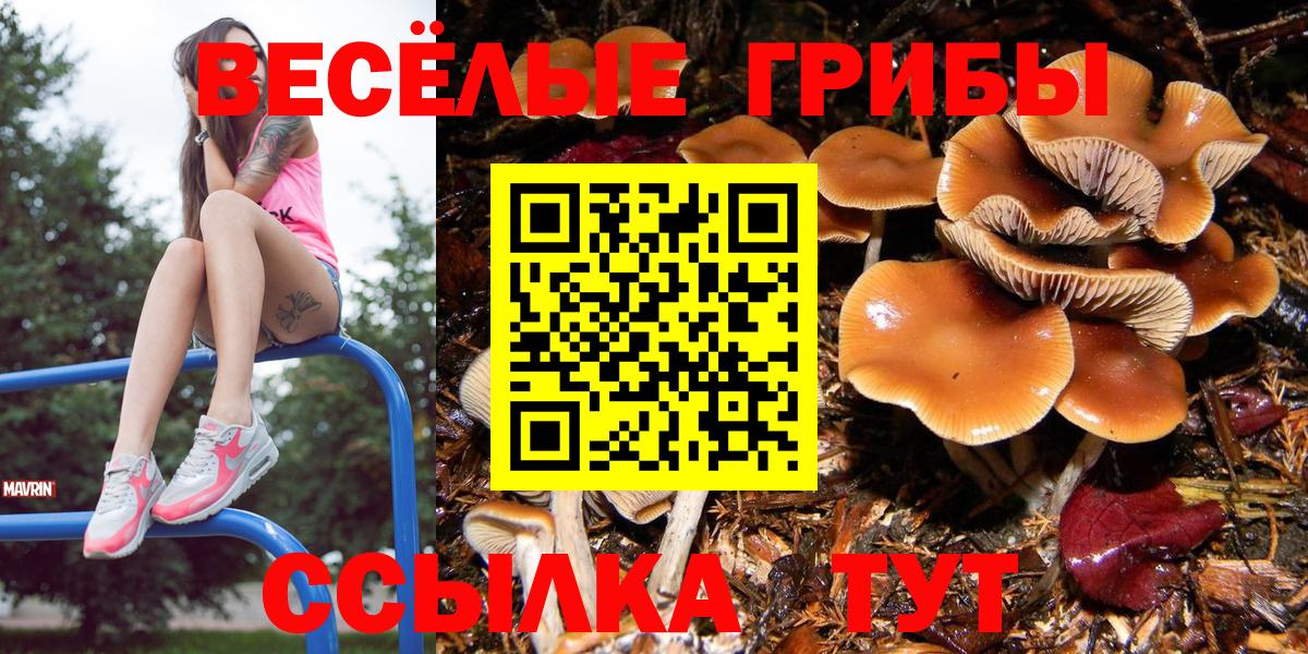 Галлюциногенные грибы ЛСД Видное