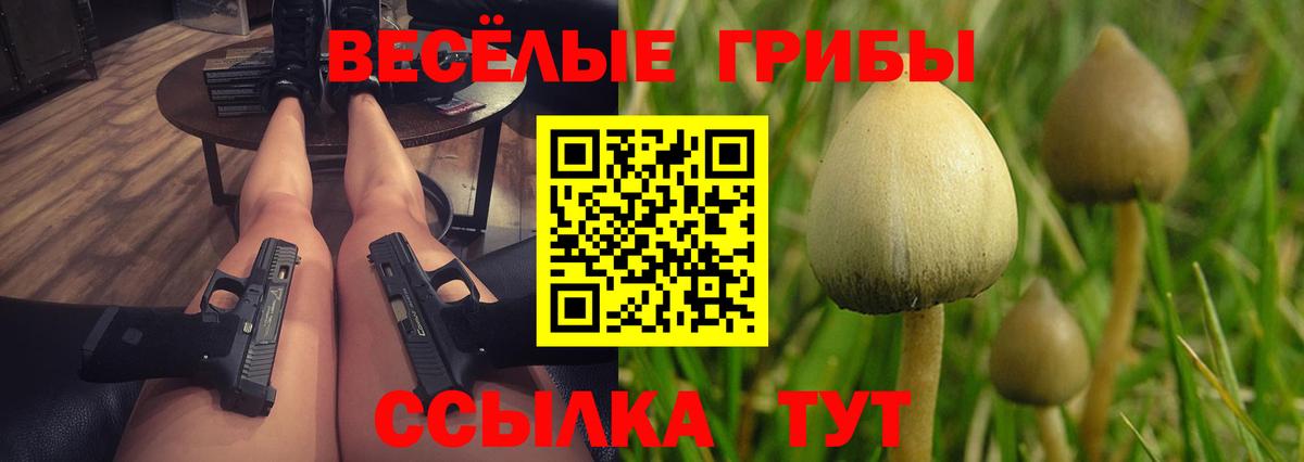 Псилоцибиновые грибы Psilocybe  Вход с VPN  Видное 