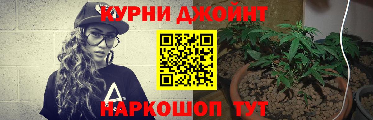 Видное  Каннабис Amnesia  Вход с VPN  Конопля VHQ 
