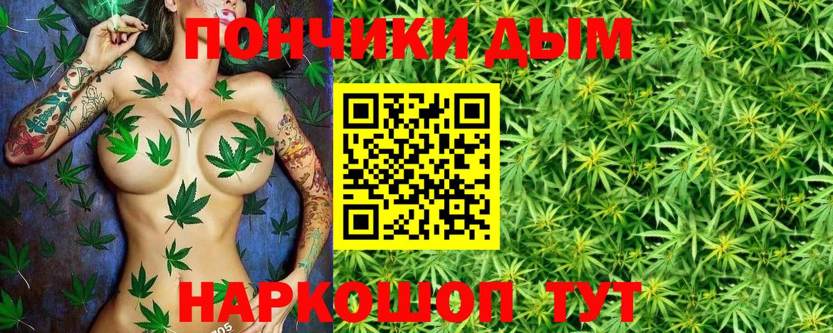 Шишки марихуана планчик Видное